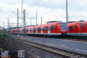 D28019 423 506